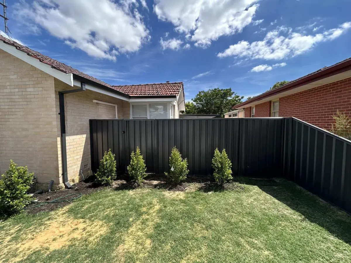 Colorbond fencing